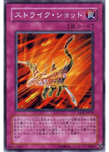 ストライク・ショット — Tactical Evolution
