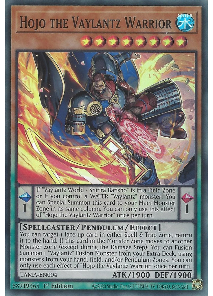 Hojo the Vaylantz Warrior