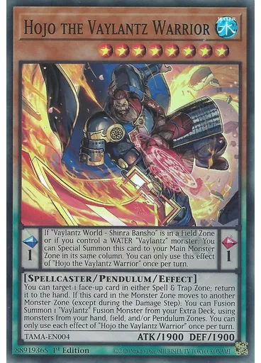 Hojo the Vaylantz Warrior