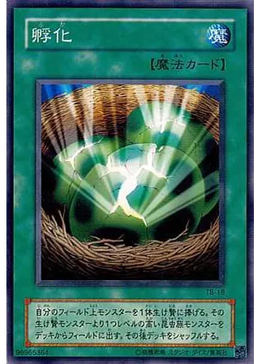 孵化