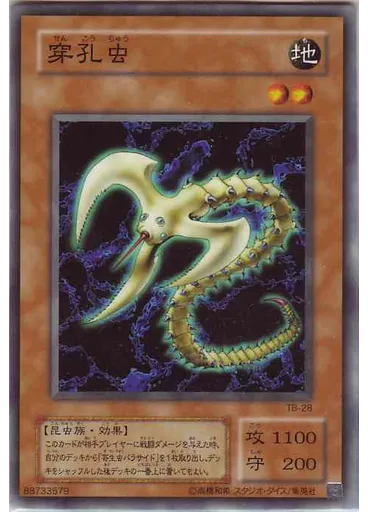 穿孔虫