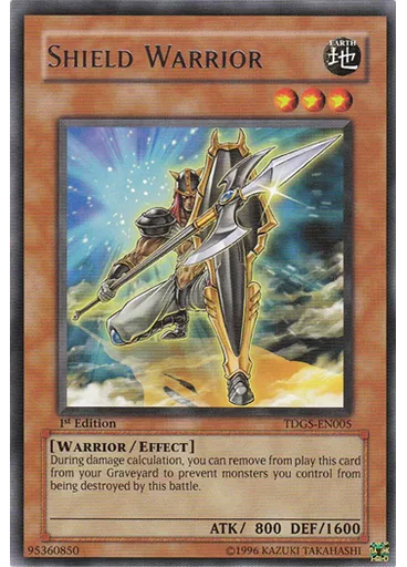 Shield Warrior