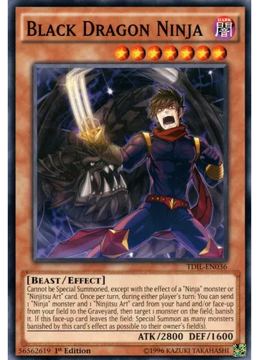 Black Dragon Ninja