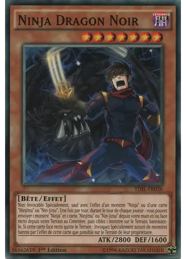 Ninja Dragon Noir