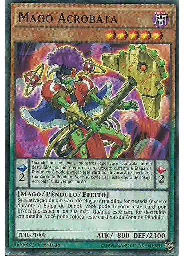 Mago Acrobata