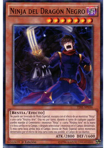 Ninja del Dragón Negro