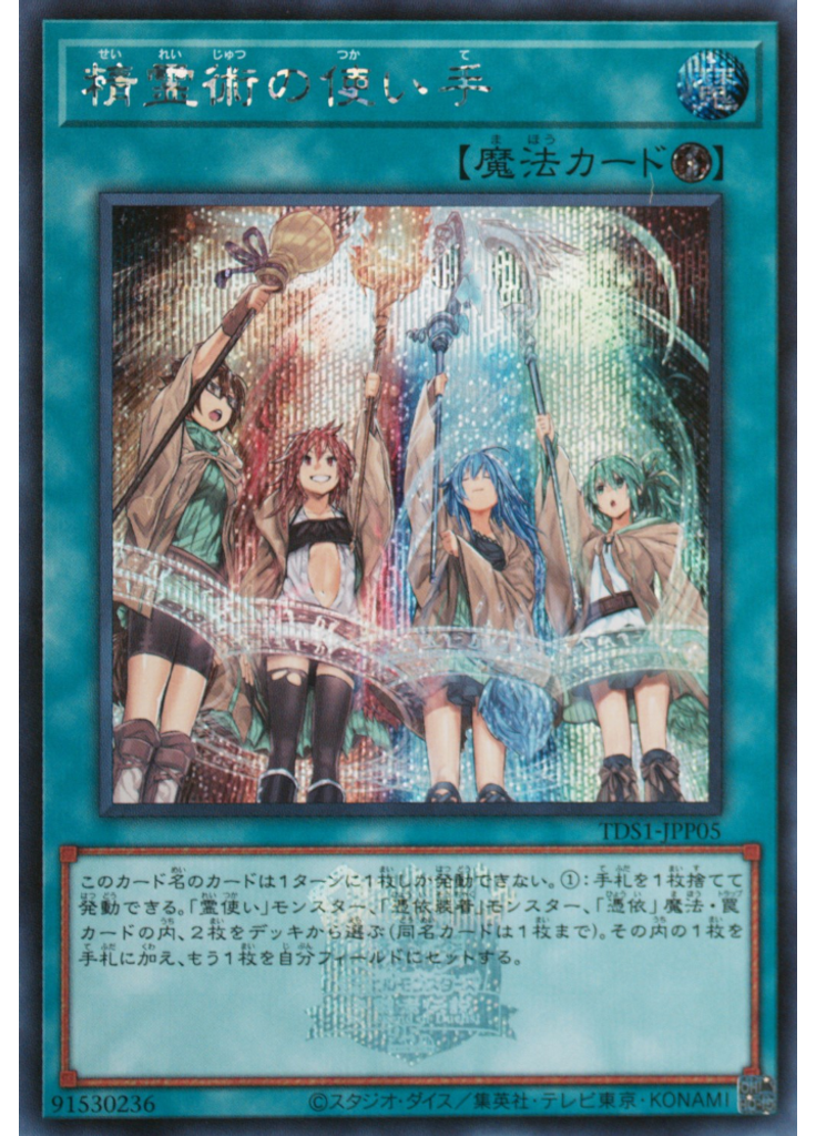 精霊術の使い手