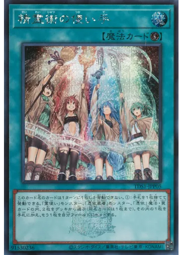 精霊術の使い手