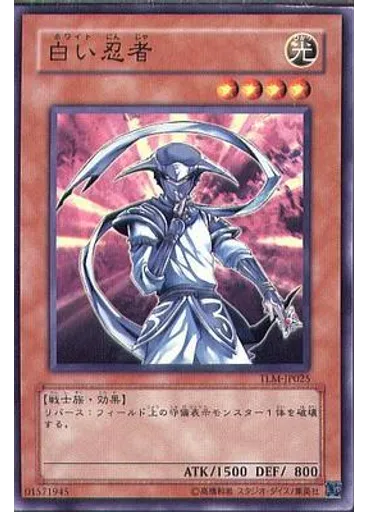 白い忍者