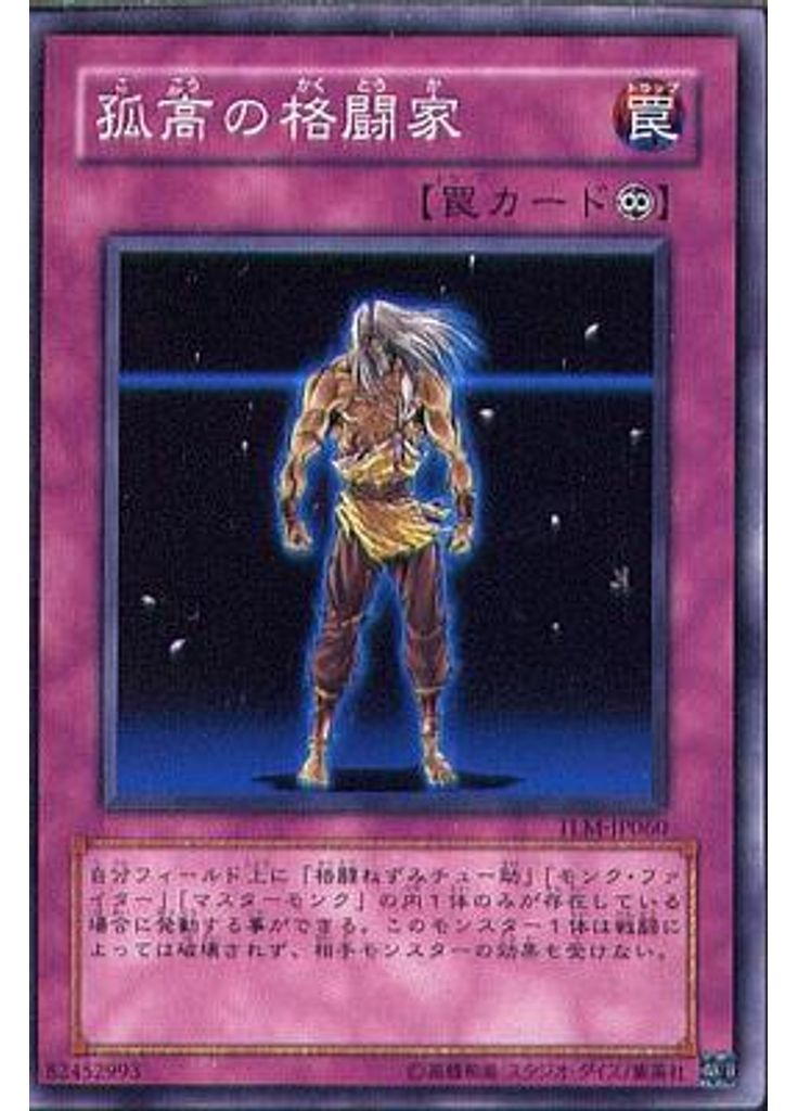 孤高の格闘家