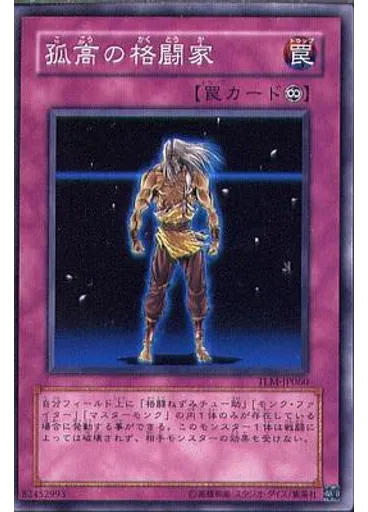 孤高の格闘家