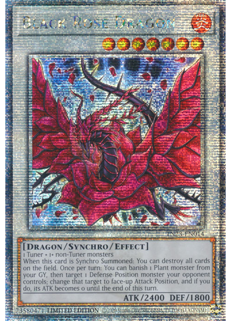 Black Rose Dragon