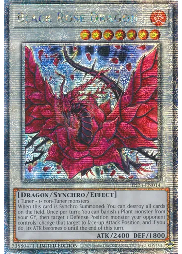 Black Rose Dragon
