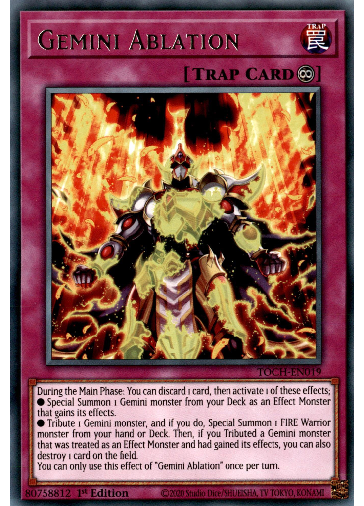 Gemini Ablation