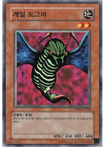 게일 도그라