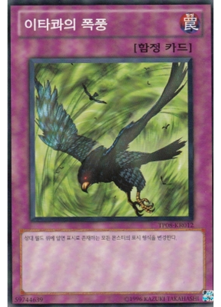 이타콰의 폭풍