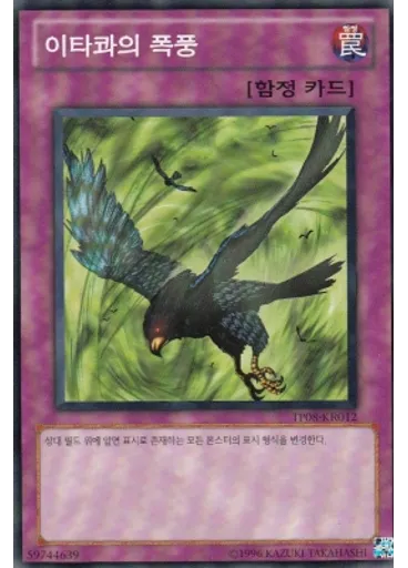이타콰의 폭풍
