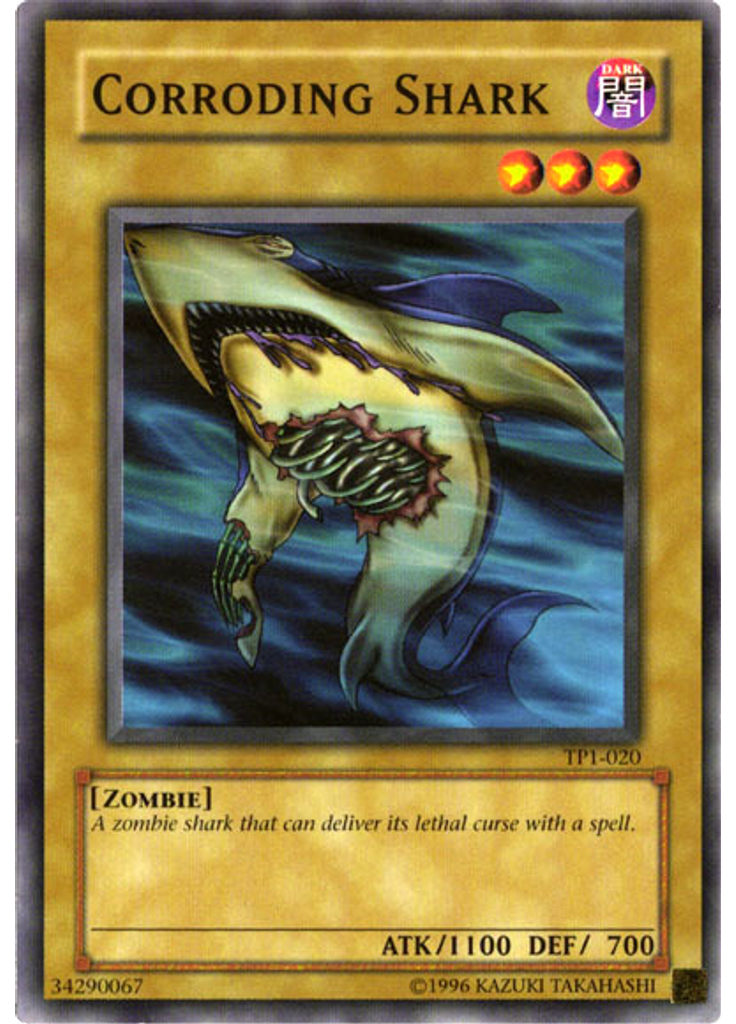 Corroding Shark