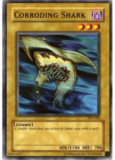 Corroding Shark