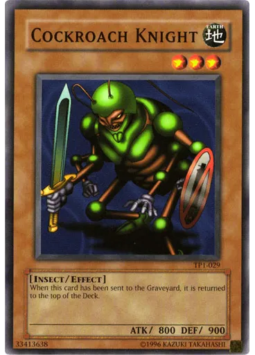Cockroach Knight