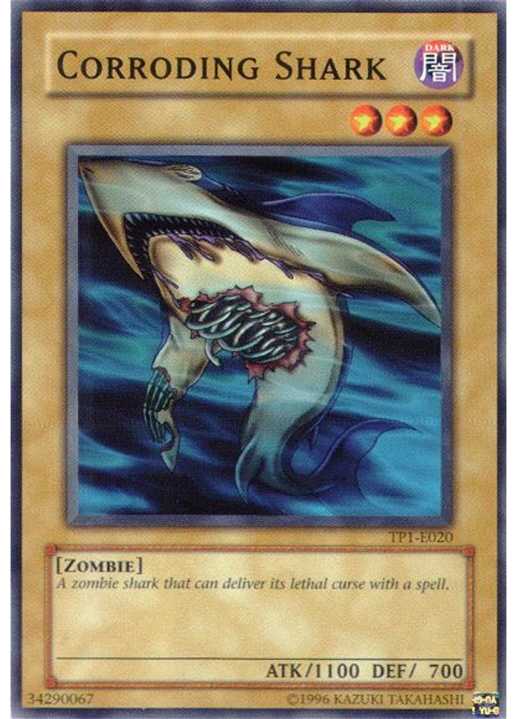 Corroding Shark