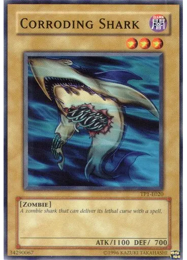 Corroding Shark