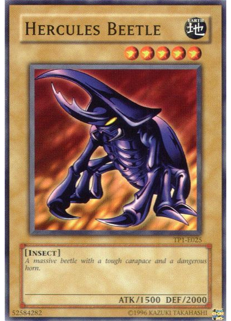 Hercules Beetle