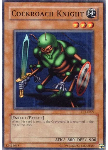 Cockroach Knight