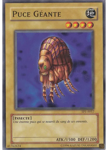 Puce Géante
