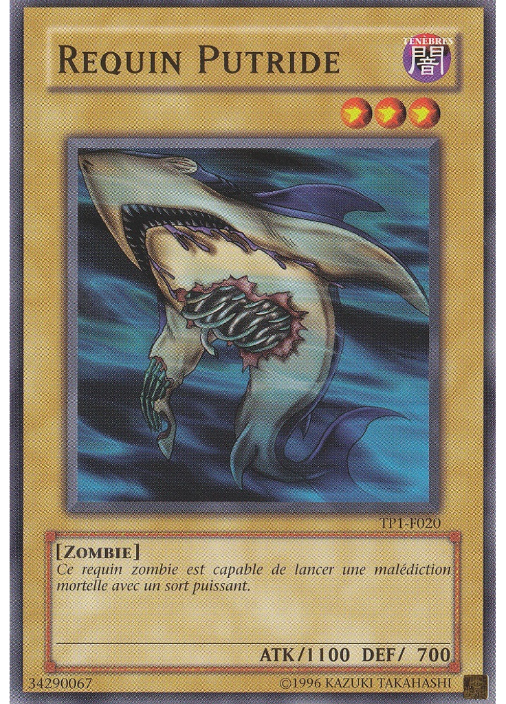 Requin Putride
