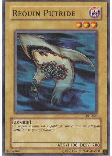 Requin Putride