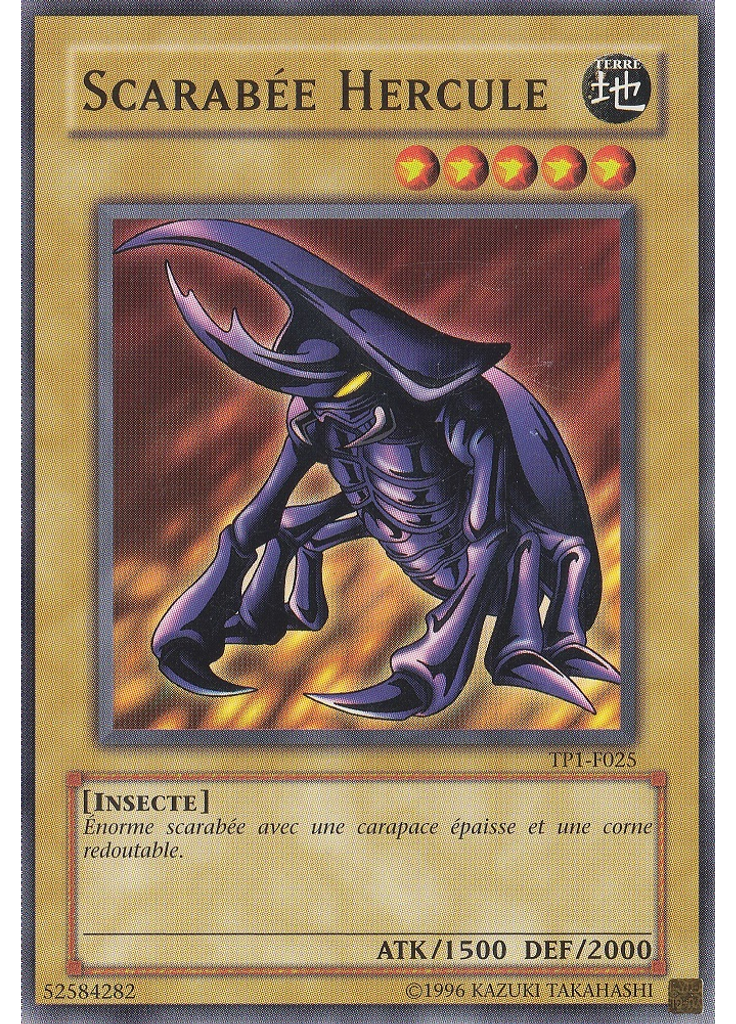 Scarabée Hercule