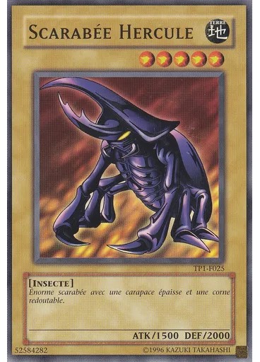Scarabée Hercule
