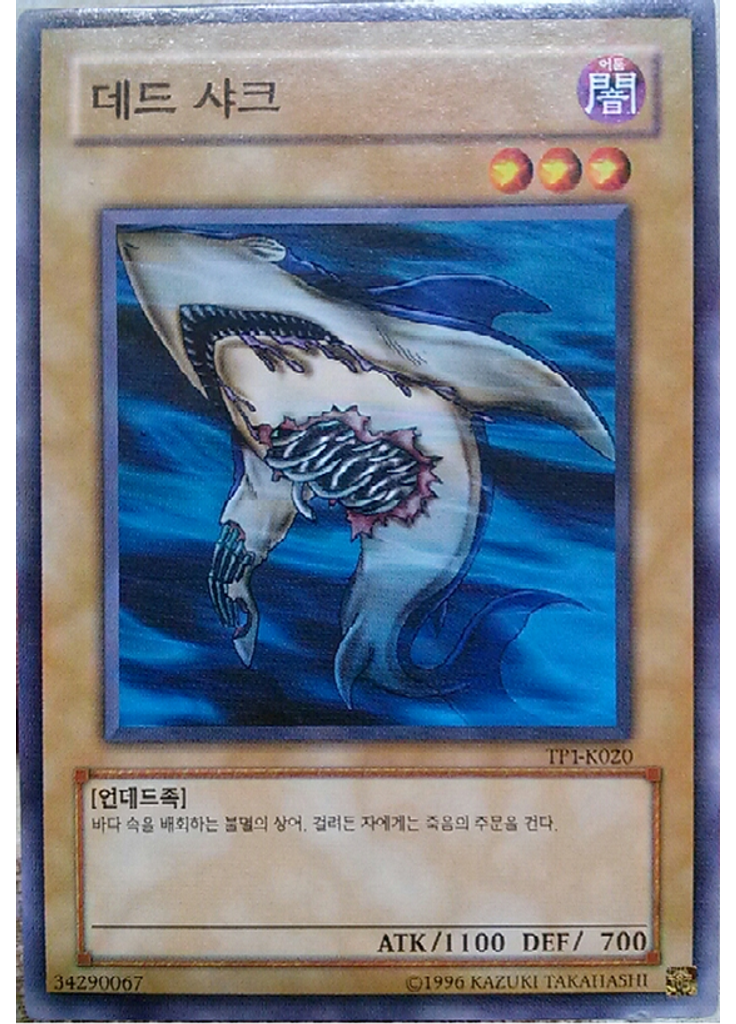 데드 샤크