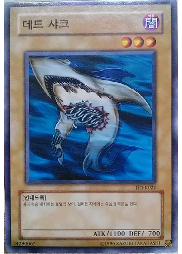 데드 샤크