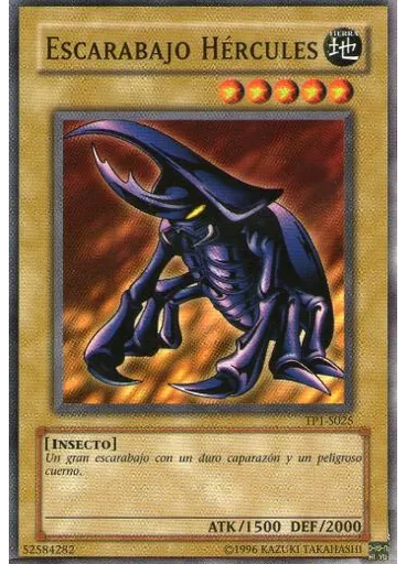 Escarabajo Hércules