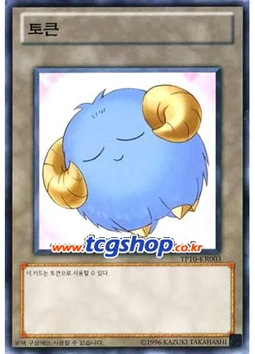 양 토큰