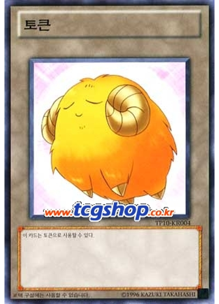 양 토큰