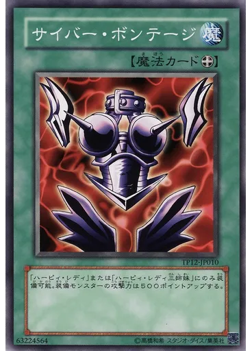 サイバー・ボンテージ