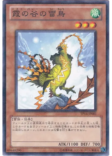 霞の谷の雷鳥