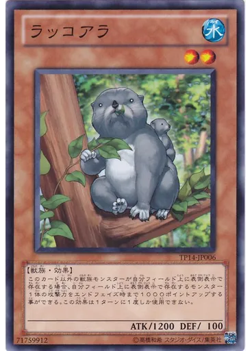 ラッコアラ
