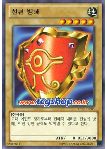 천년 방패