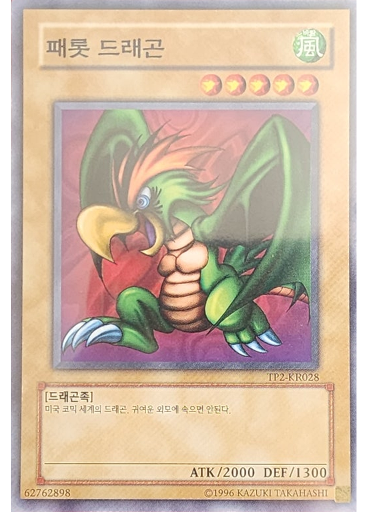 패롯 드래곤