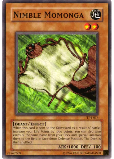 Nimble Momonga