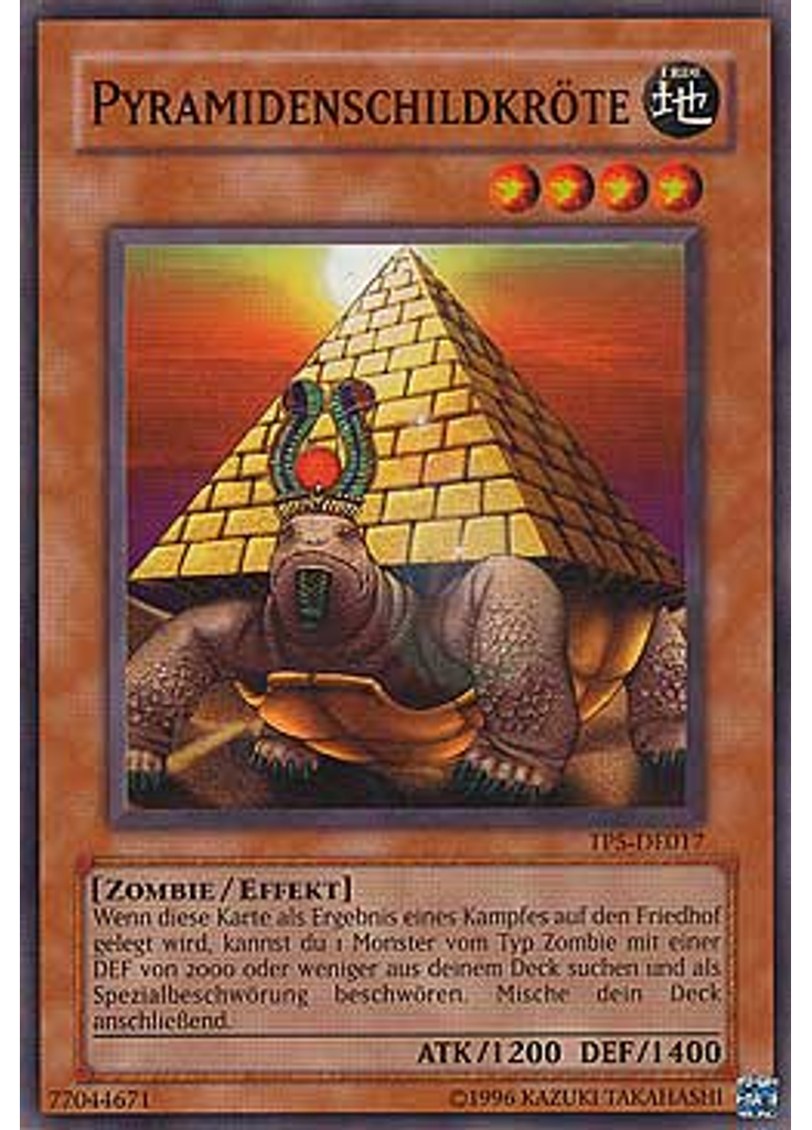 Pyramidenschildkröte