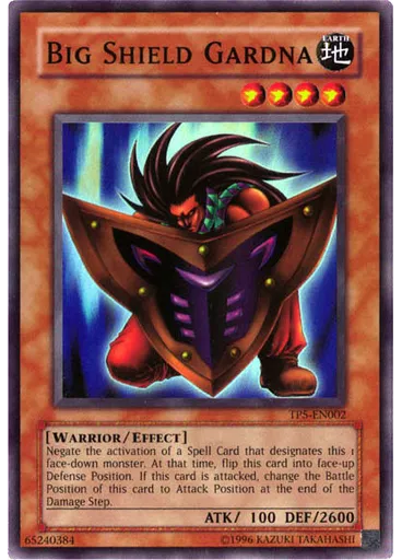 Big Shield Gardna