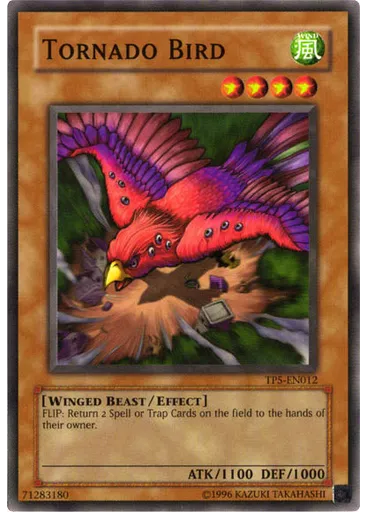 Tornado Bird