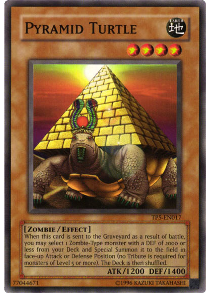 Pyramid Turtle