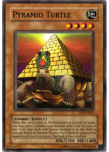 Pyramid Turtle