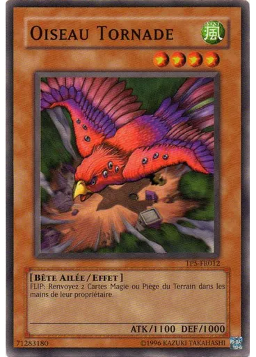 Oiseau Tornade